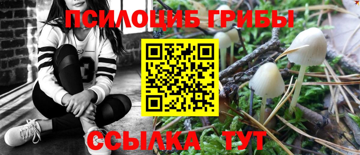 Псилоцибиновые грибы ЛСД Каменск-Уральский